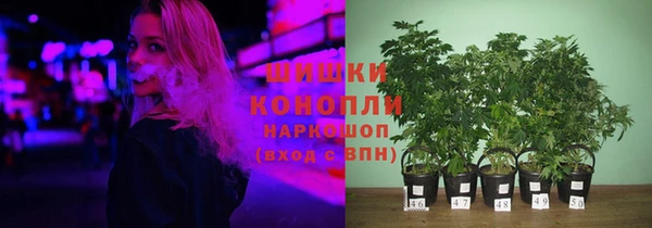 гашик Баксан