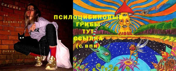 MDMA Premium VHQ Сосновый Бор