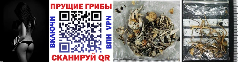 Псилоцибиновые грибы Cubensis  даркнет сайт  Верхотурье 